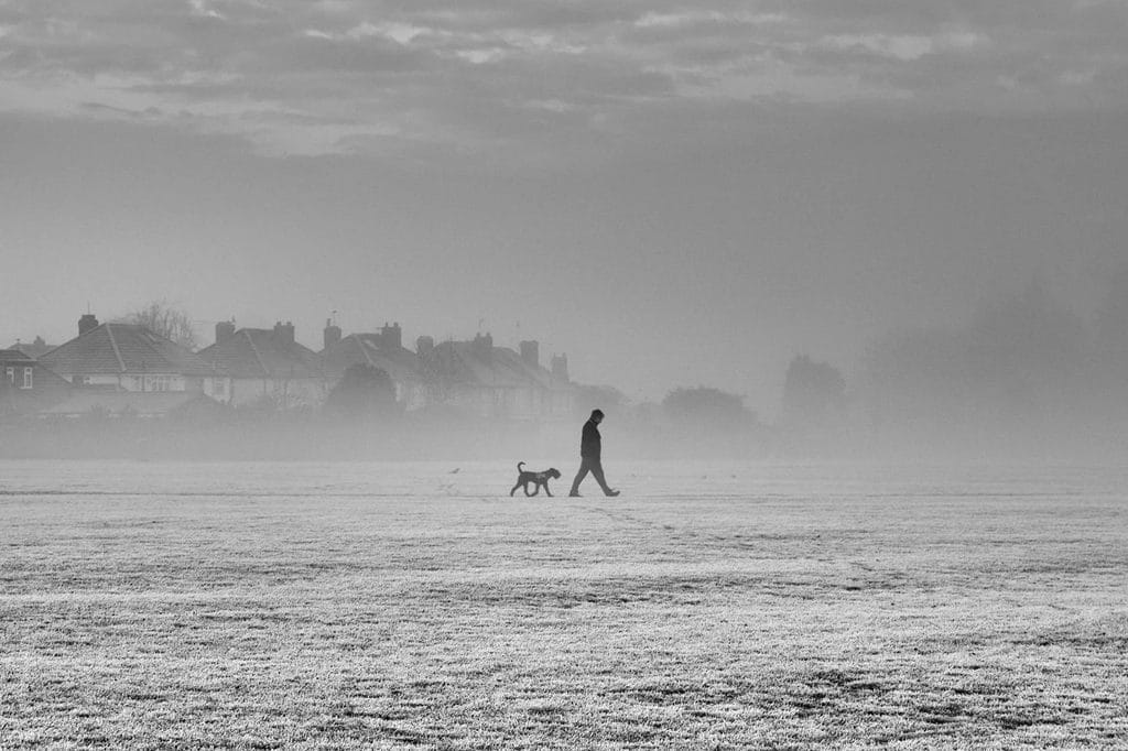 Person walking a dog across a misty frosty field near a residential neighborhood
