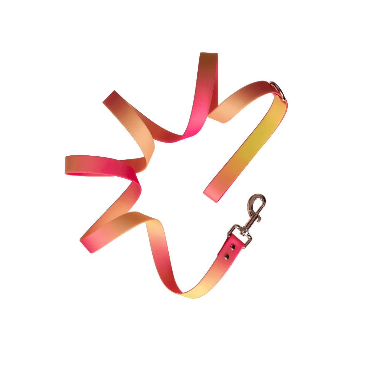 Katelin All Weather Dog Leash | Pink Papyrus