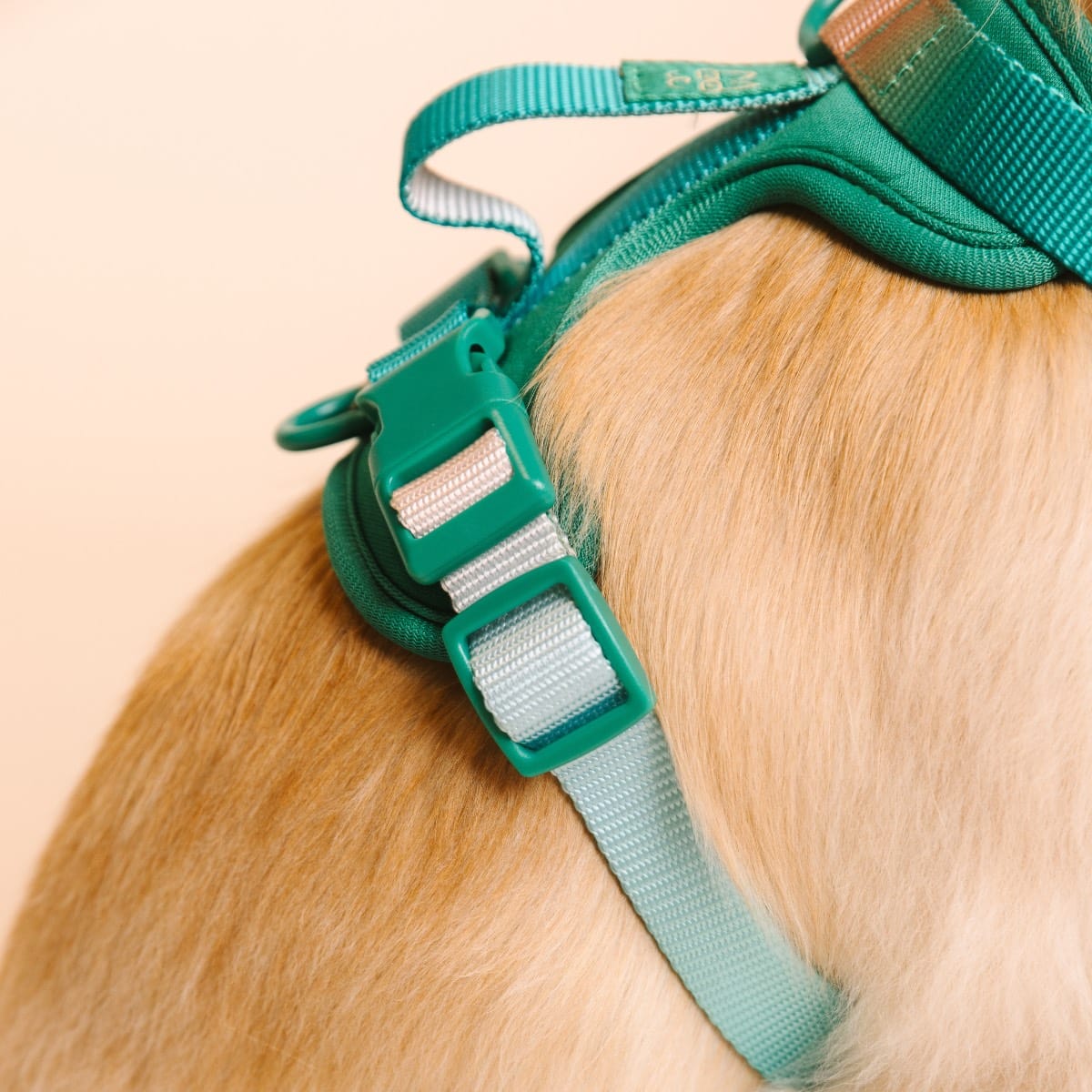 Parker Dog Harness | Pink Papyrus