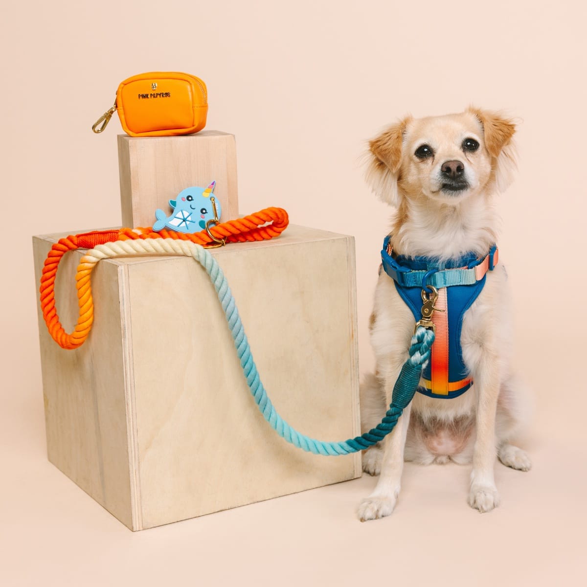 Sapphire Coast Dog Harness Bundle | Pink Papyrus