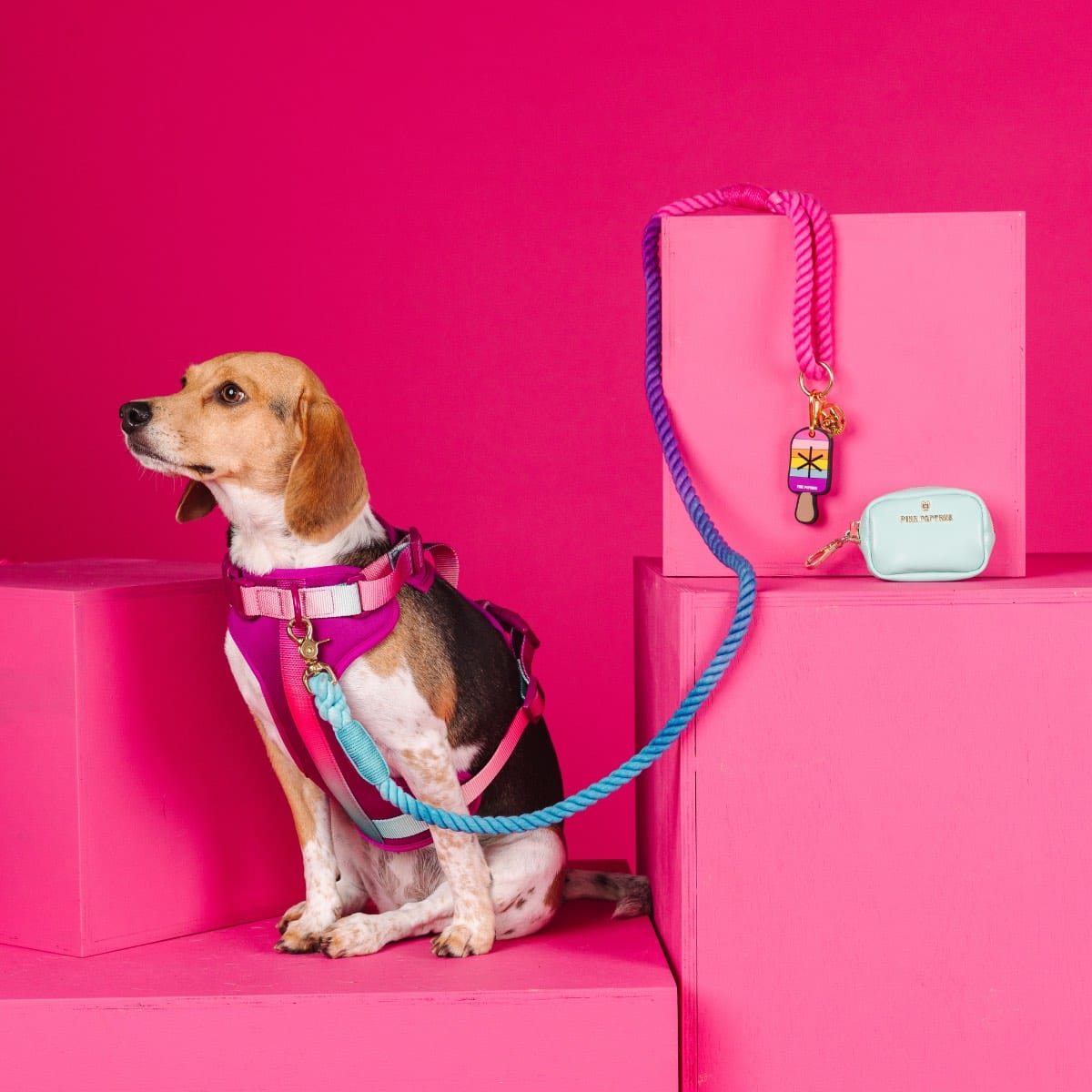 Purple Haze Dog Harness Bundle | Pink Papyrus