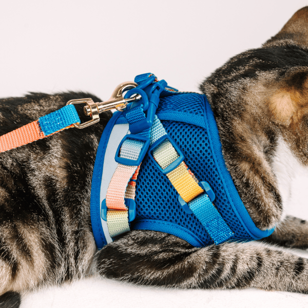 Atlas Cat Harness & Leash Set | Pink Papyrus