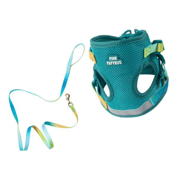 Joey Cat Harness & Leash Set | Pink Papyrus