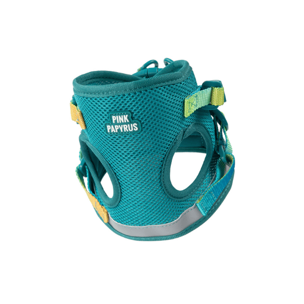 Joey Cat Harness & Leash Set | Pink Papyrus