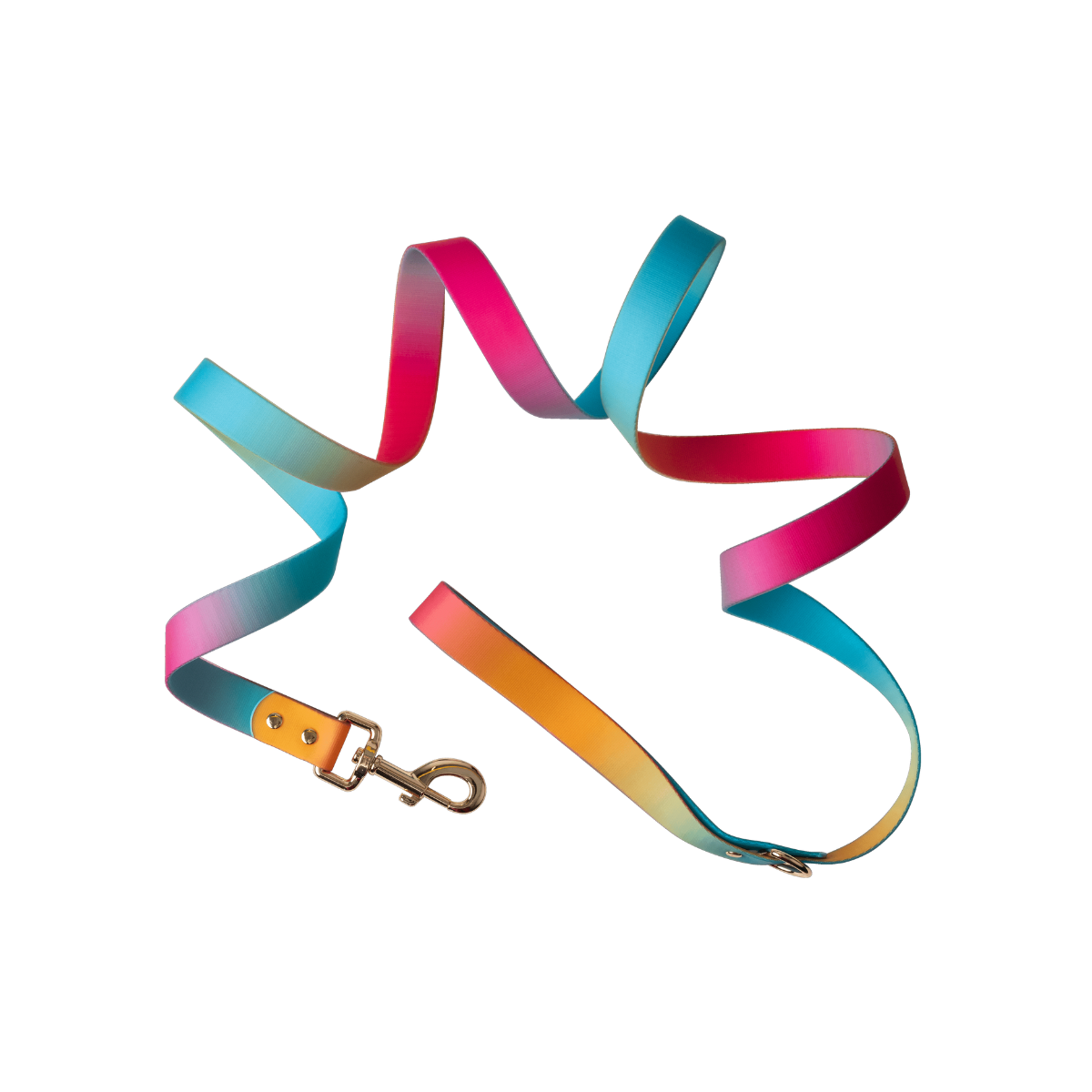 Pippa All Weather Dog Leash