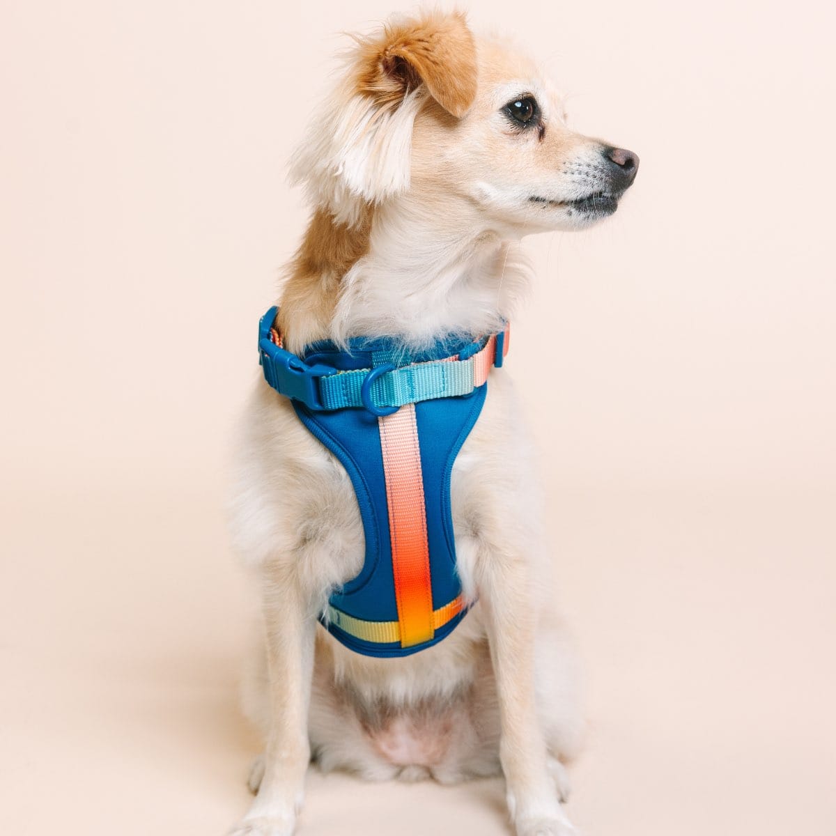 Atlas Dog Harness | Pink Papyrus