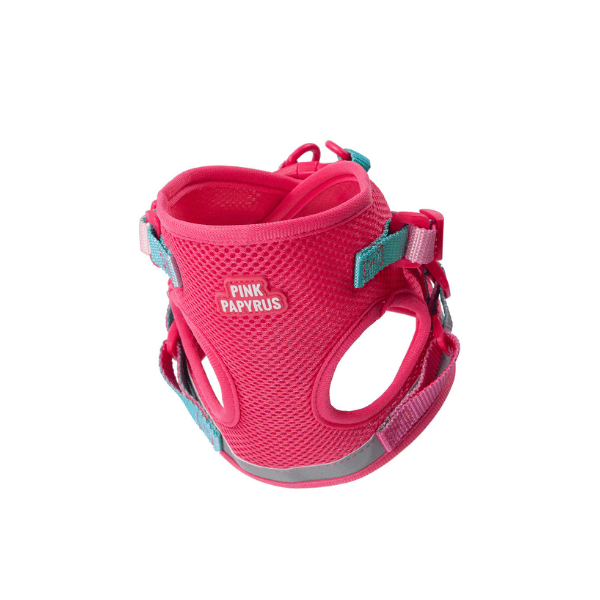 Stasia Cat Harness & Leash Set | Pink Papyrus