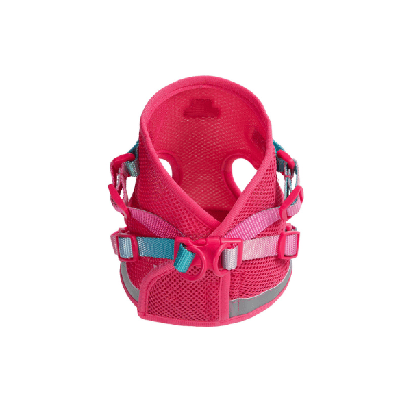 Stasia Cat Harness & Leash Set | Pink Papyrus