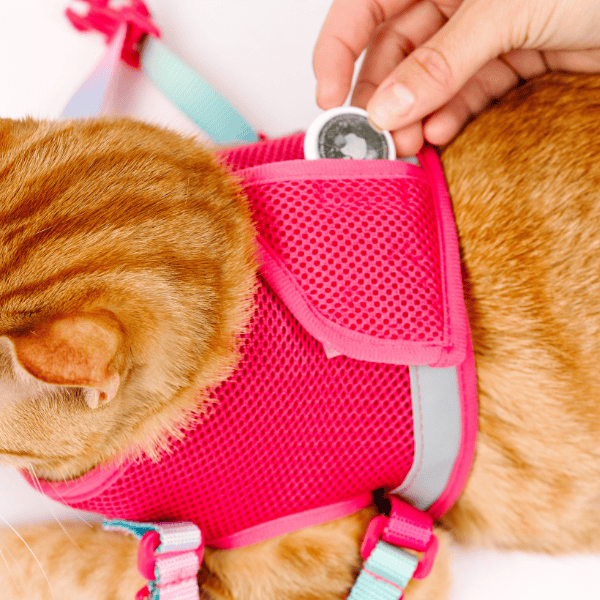 Stasia Cat Harness & Leash Set | Pink Papyrus