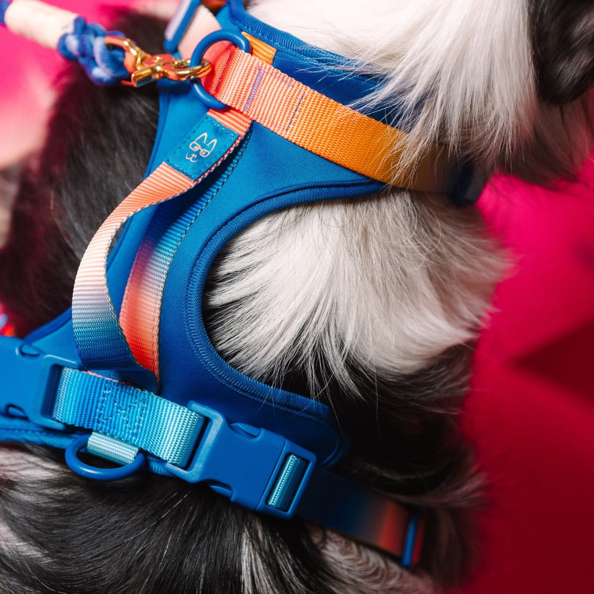 Atlas Dog Harness | Pink Papyrus