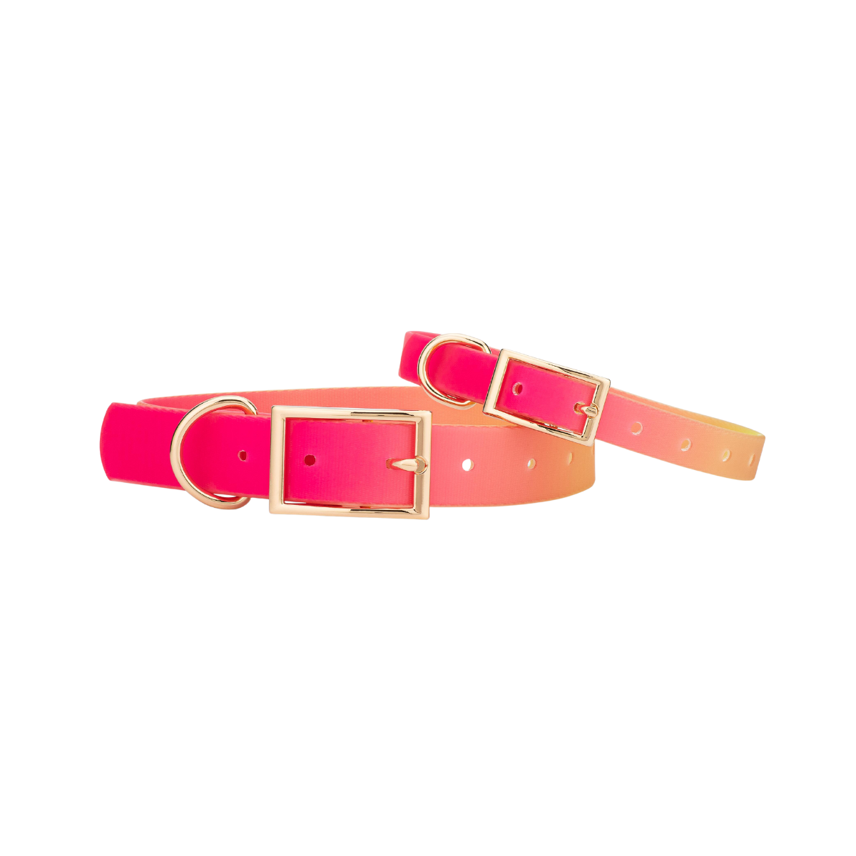 Katelin Dog Collar