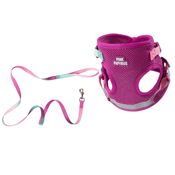 Joana Cat Harness & Leash Set | Pink Papyrus