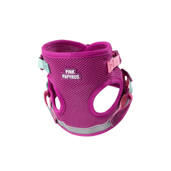Joana Cat Harness & Leash Set | Pink Papyrus