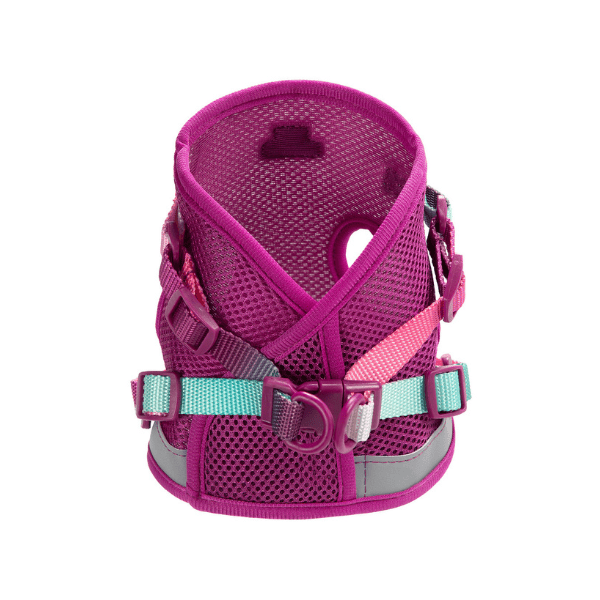 Joana Cat Harness & Leash Set | Pink Papyrus