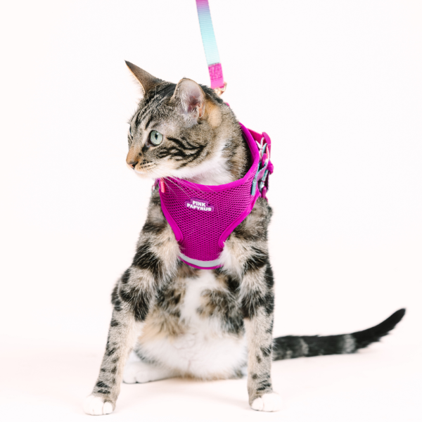 Joana Cat Harness & Leash Set
