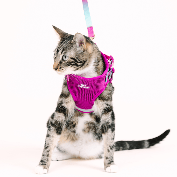 Joana Cat Harness & Leash Set | Pink Papyrus