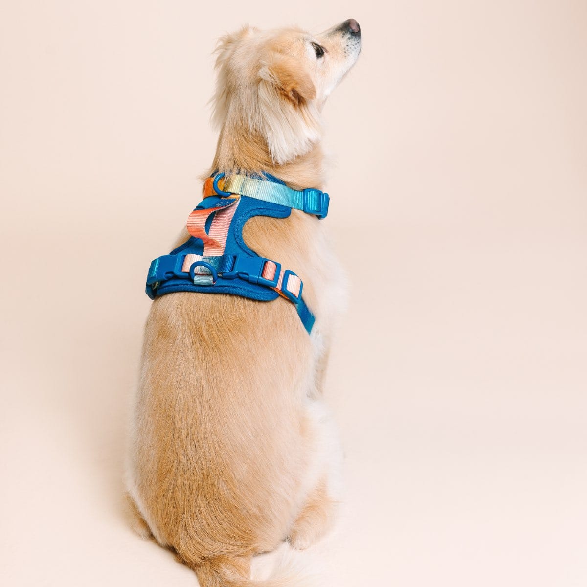 Atlas Dog Harness | Pink Papyrus