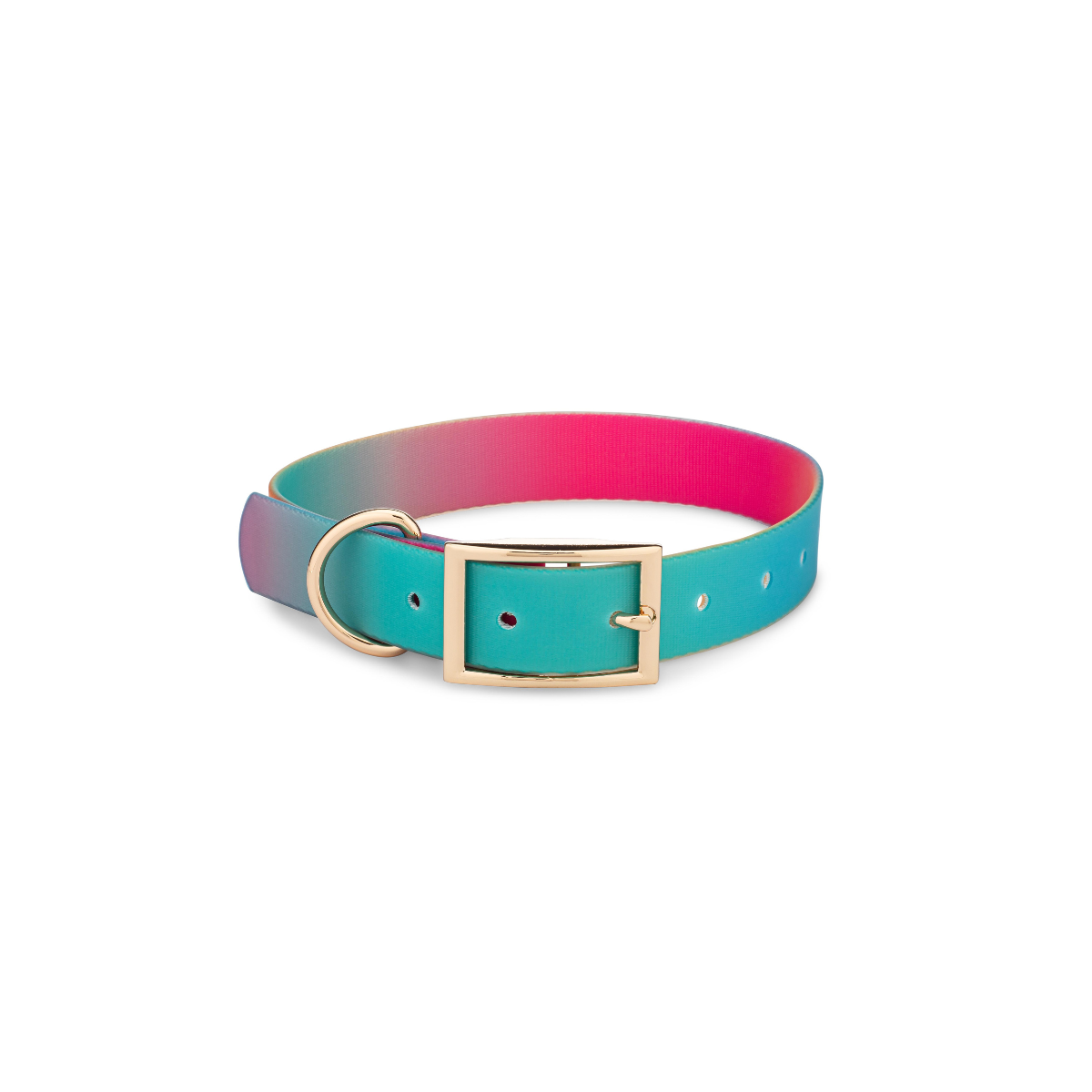 Pippa Dog Collar