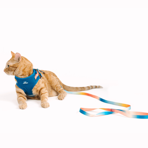 Atlas Cat Harness & Leash Set | Pink Papyrus