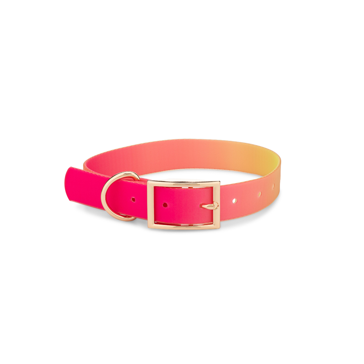 Katelin Dog Collar