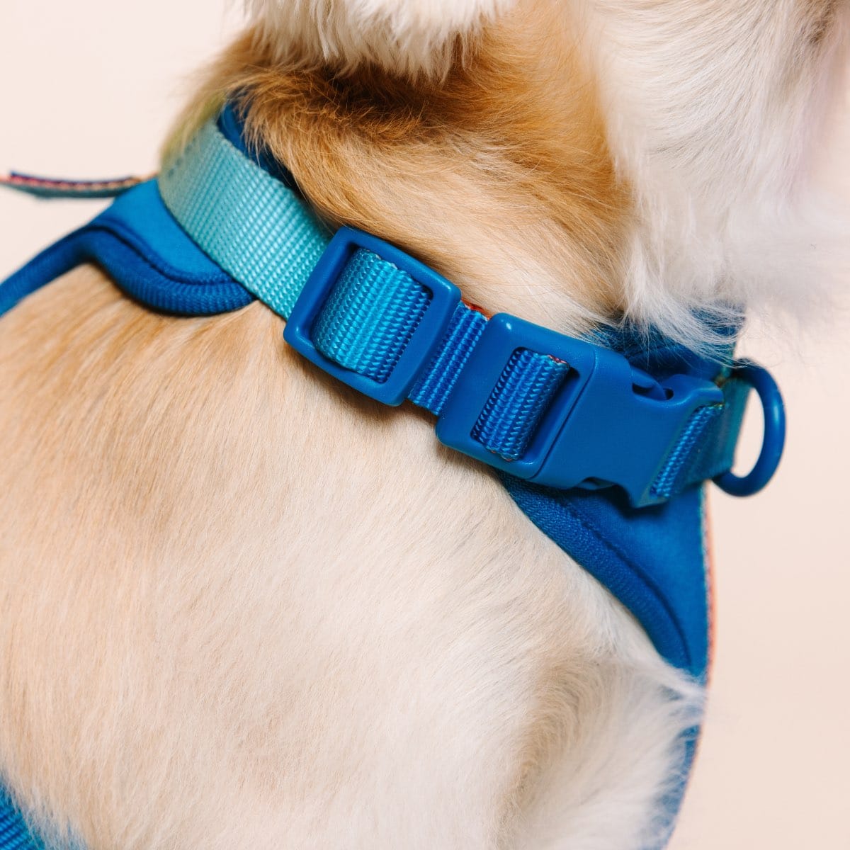 Atlas Dog Harness | Pink Papyrus