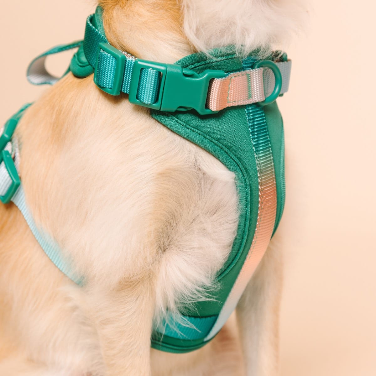 Parker Dog Harness | Pink Papyrus