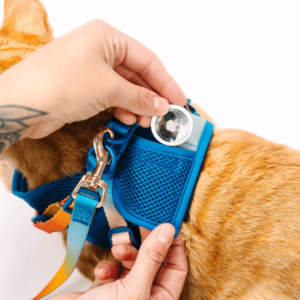 Atlas Cat Harness & Leash Set | Pink Papyrus