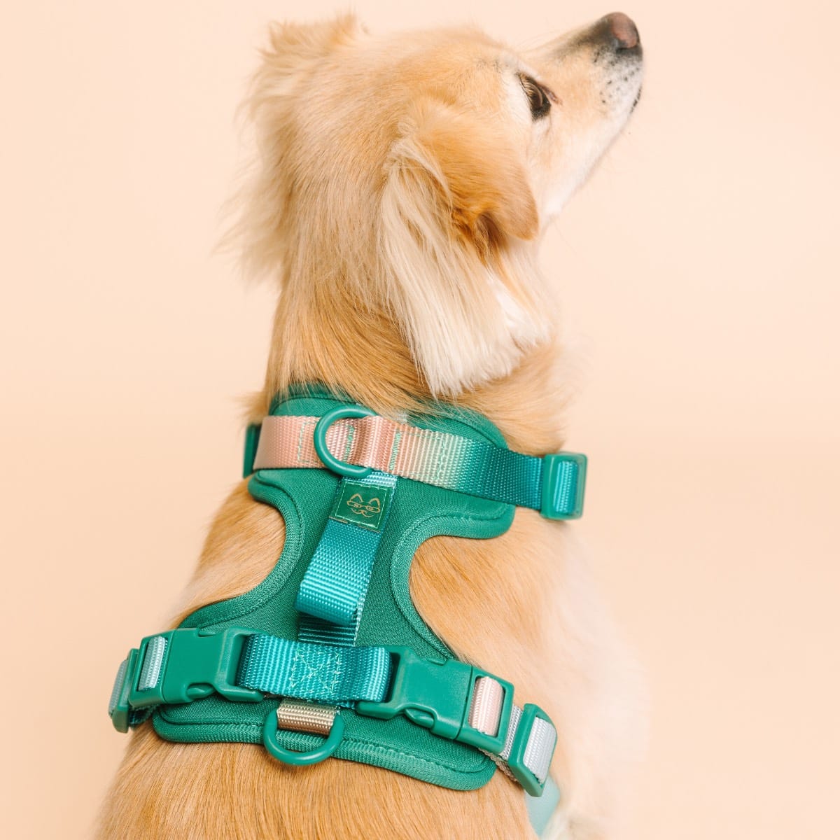 Parker Dog Harness | Pink Papyrus