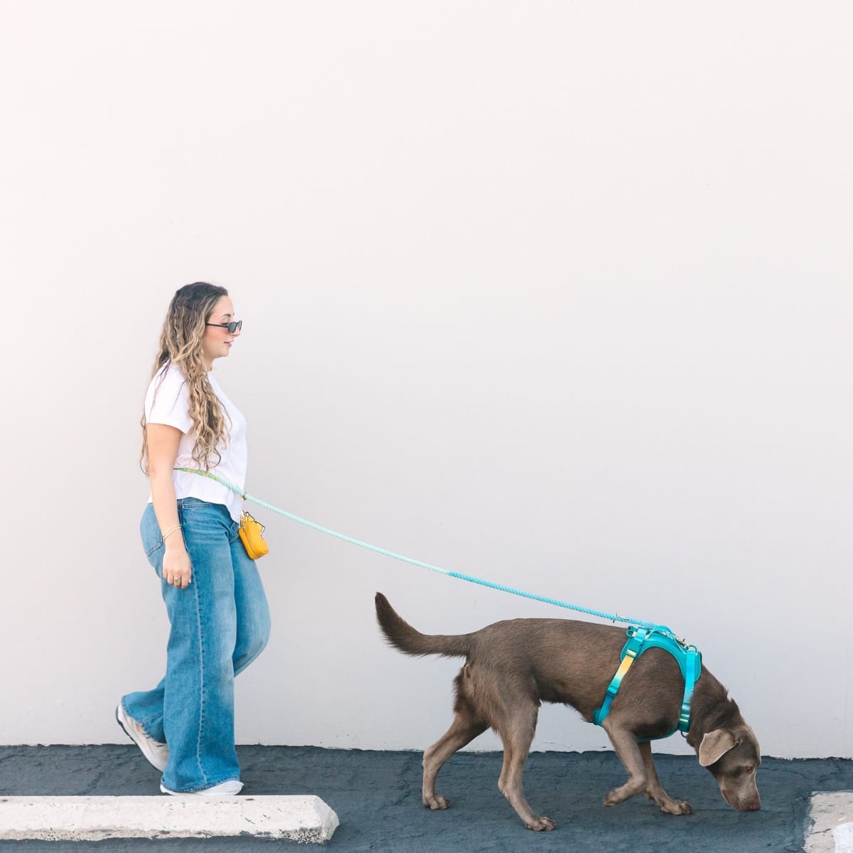 Alexandria Hands-Free Rope Dog Leash | Pink Papyrus
