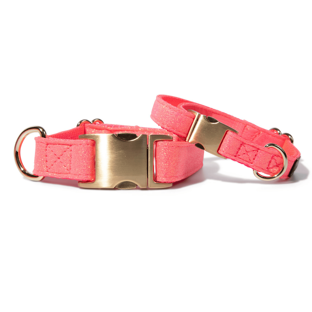 Ambrose Dog Collar