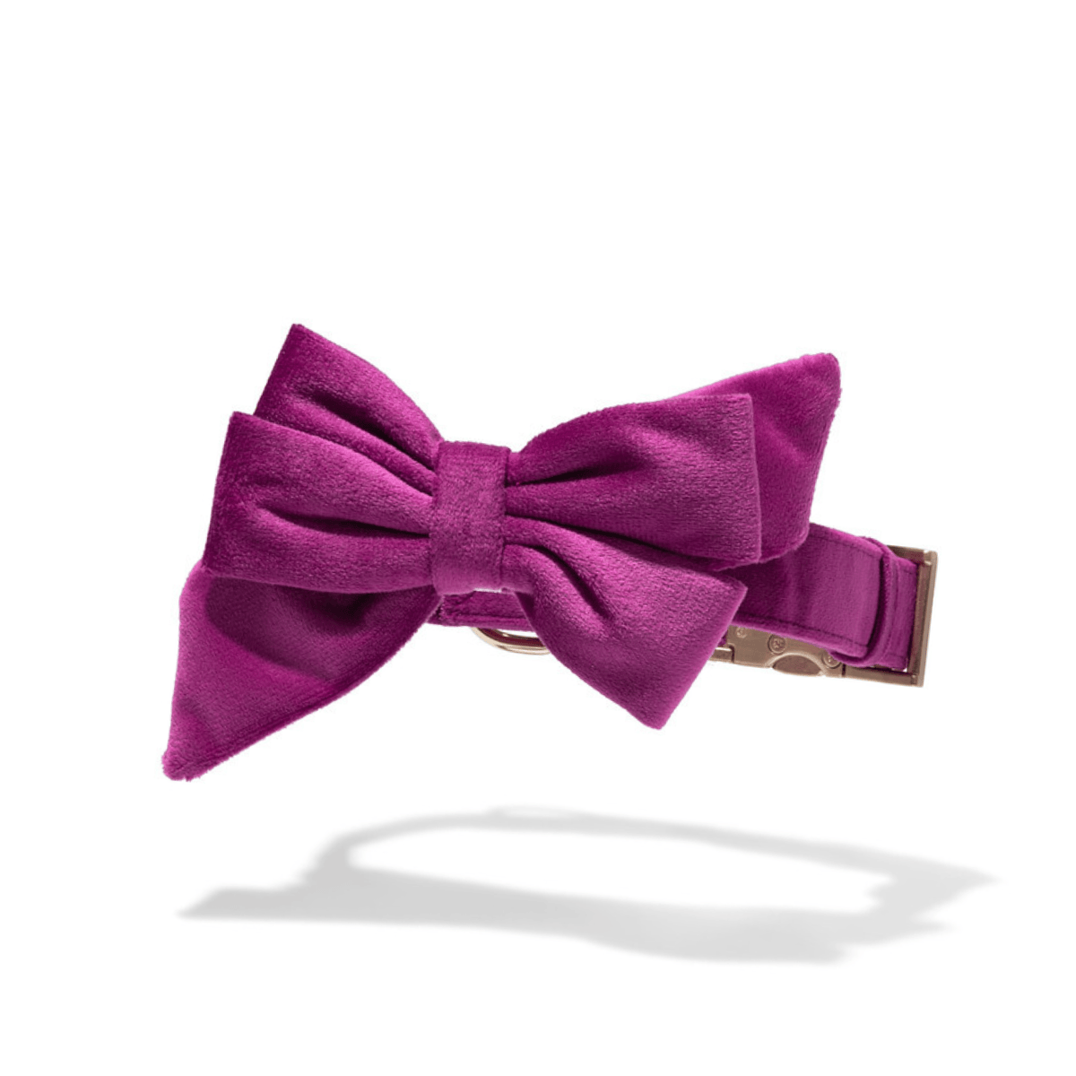 August Babe Bow Dog Collar