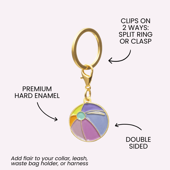 Beach Ball 4 | pinkpapyrus.myshopify.com