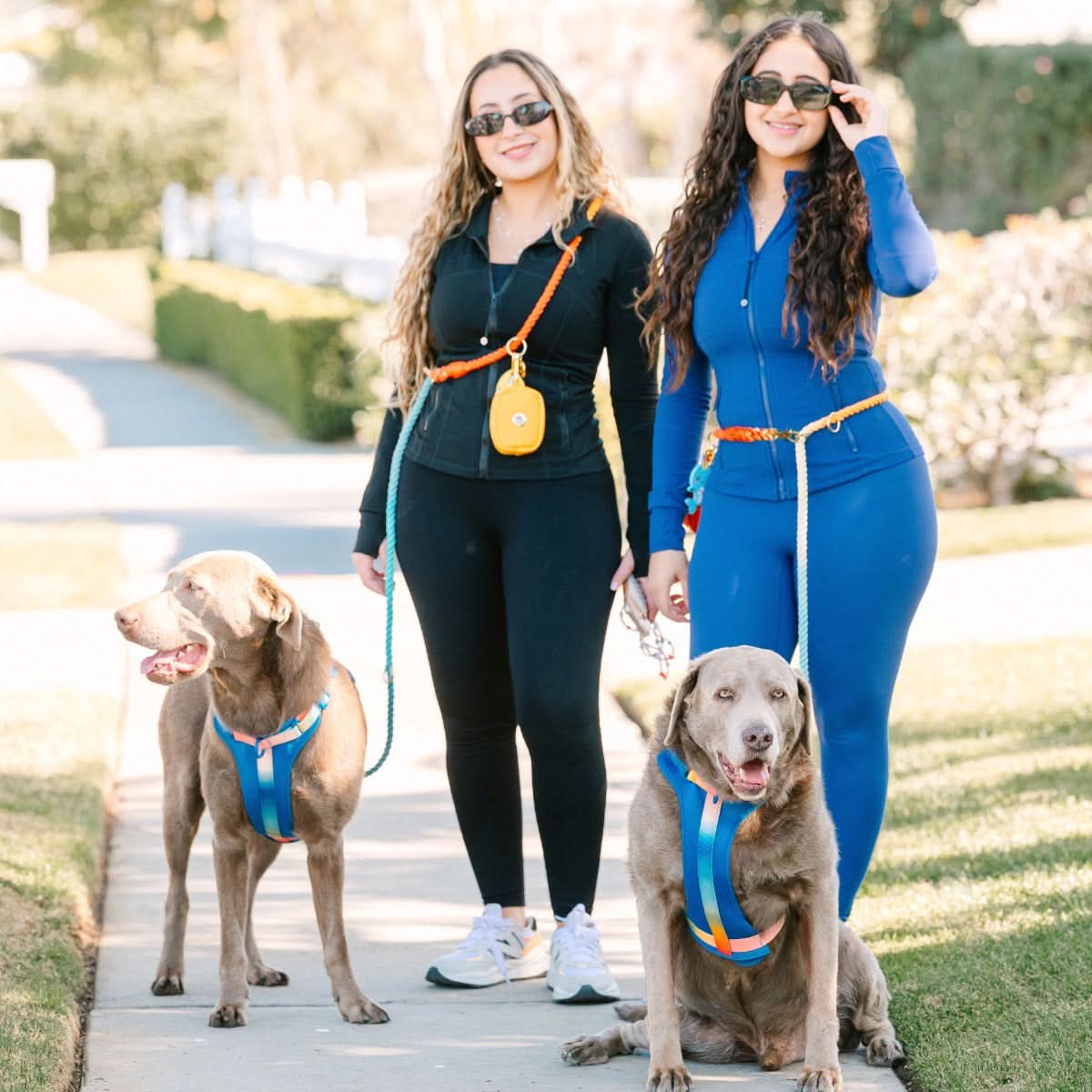 Beau Hands-Free Rope Dog Leash | Pink Papyrus
