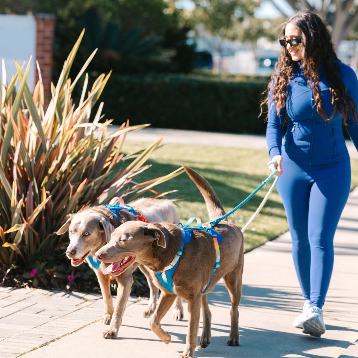 Beau Hands-Free Rope Dog Leash