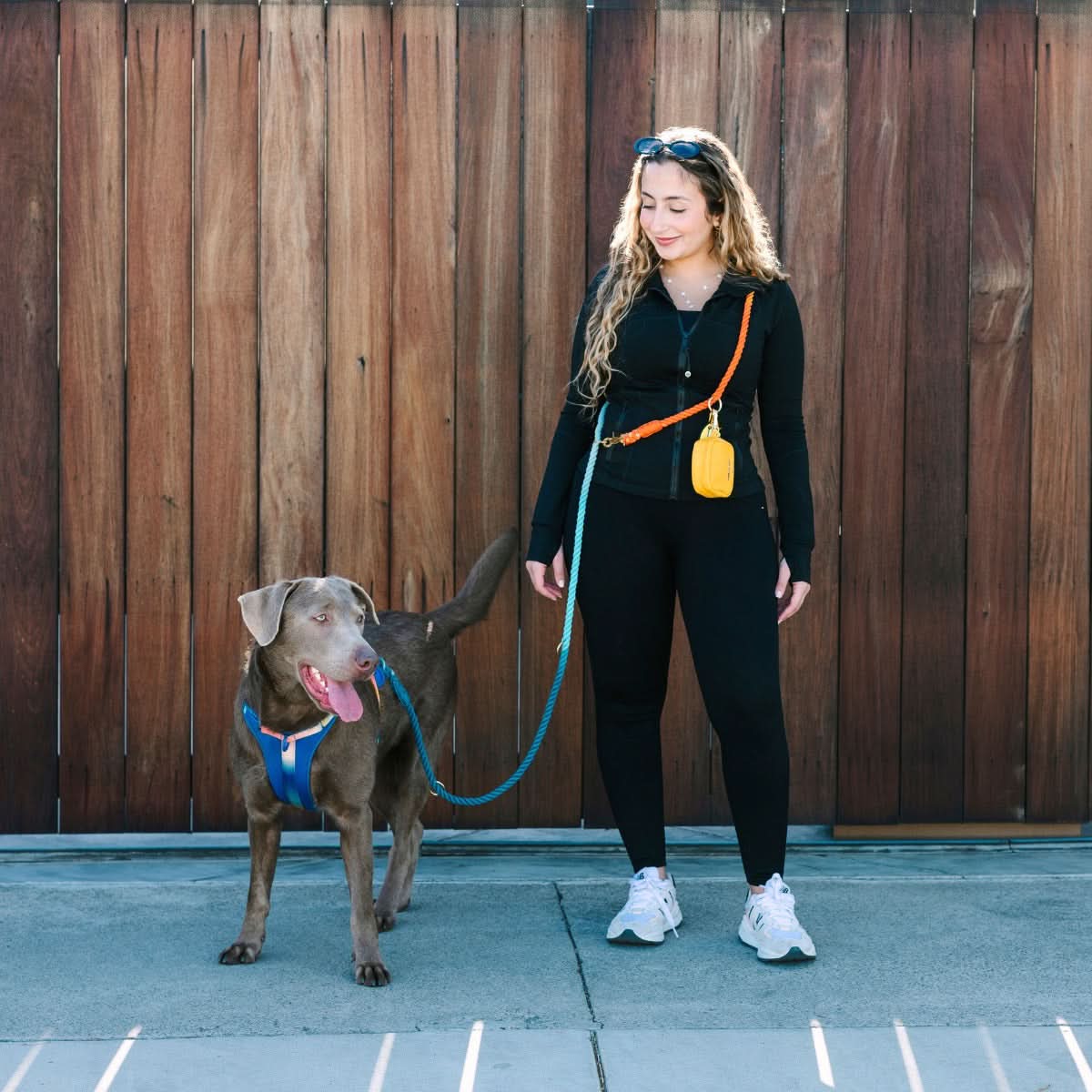 Beau Hands-Free Rope Dog Leash | Pink Papyrus