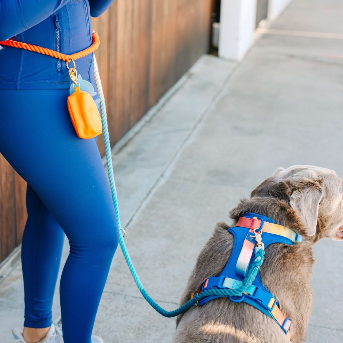 Beau Hands-Free Rope Dog Leash | Pink Papyrus