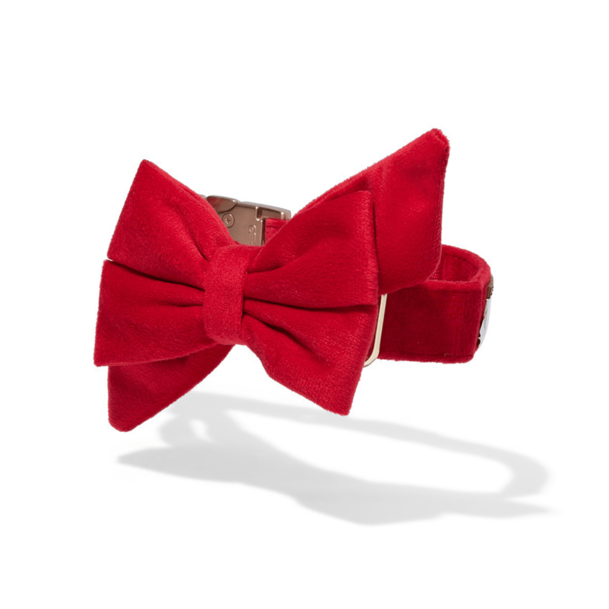 Blaze Babe Bow Dog Collar | Pink Papyrus