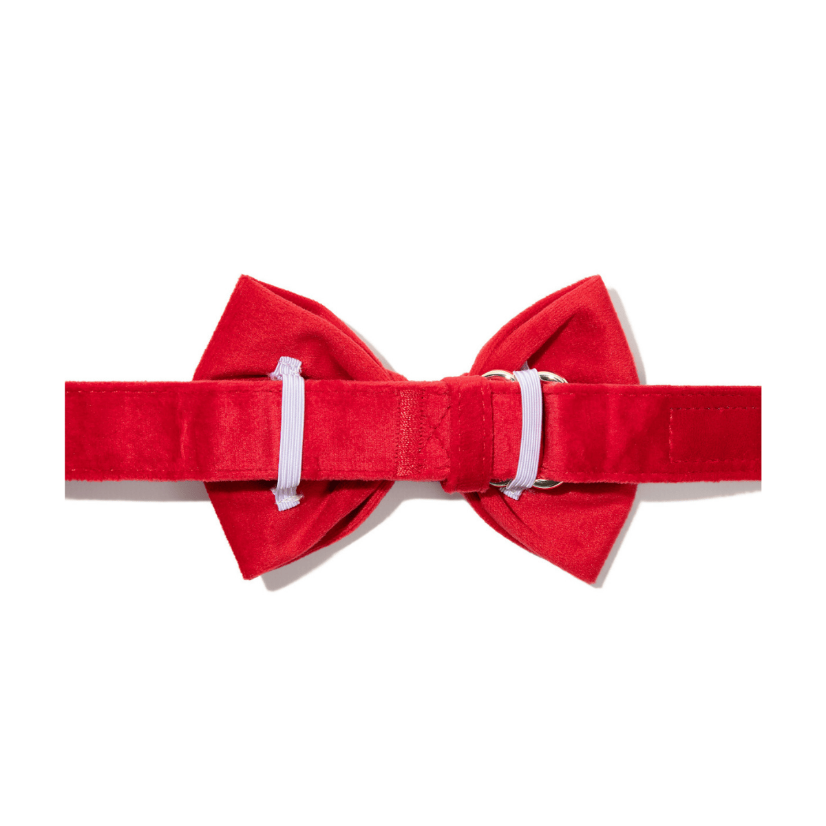 Blaze Dog Bow Tie