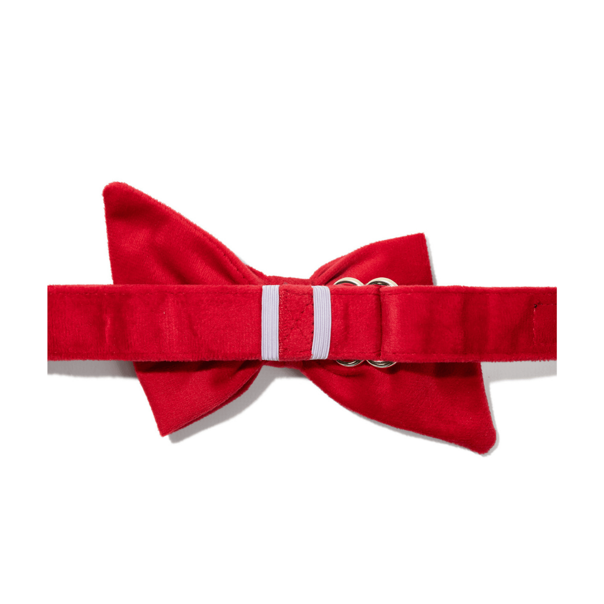 Blaze Dog Babe Bow | Pink Papyrus