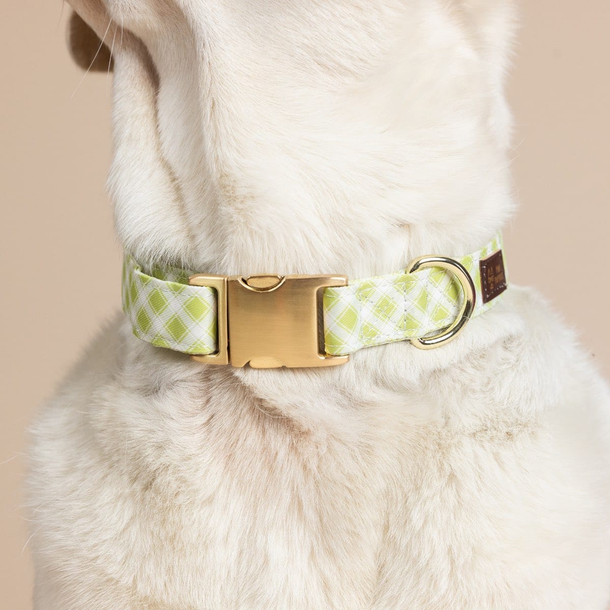 Bryce Dog Collar | Pink Papyrus