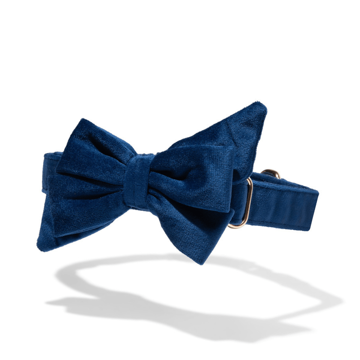 Channing Babe Bow Dog Collar | Pink Papyrus
