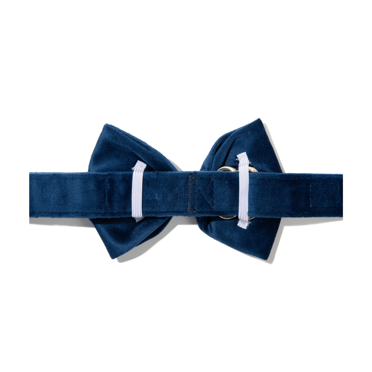 Channing Bow Tie Dog Collar | Pink Papyrus