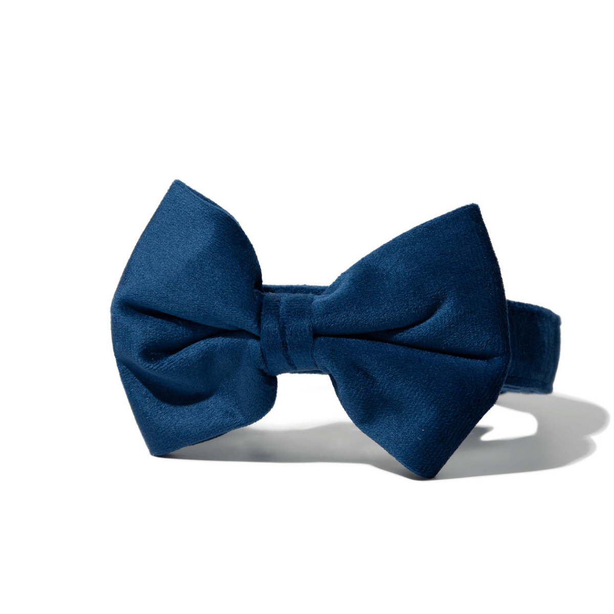 Channing Bow Tie Dog Collar | Pink Papyrus