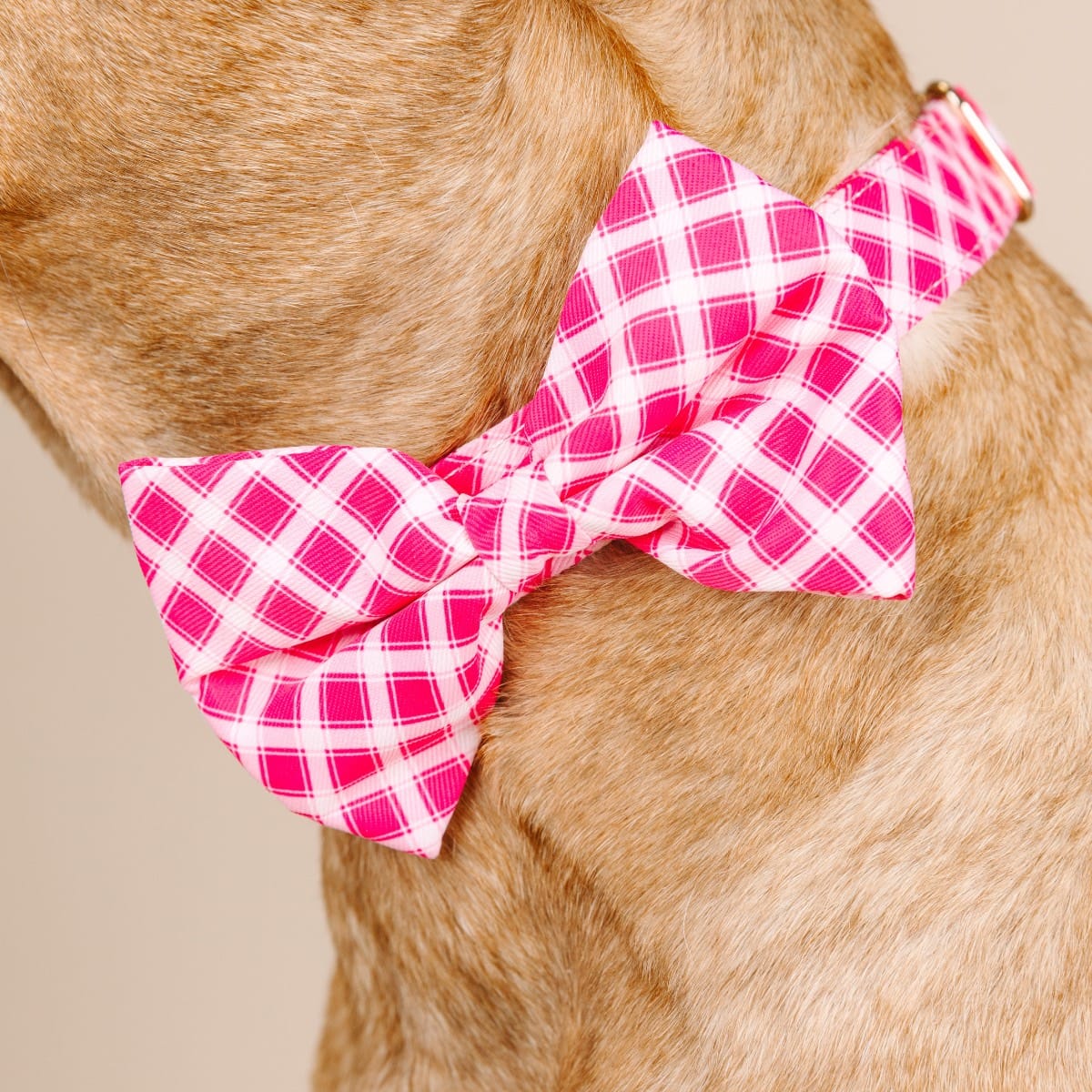 Chrishell Bow Tie Dog Collar | Pink Papyrus