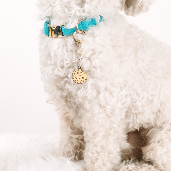 Cookie Pet Charm | Pink Papyrus