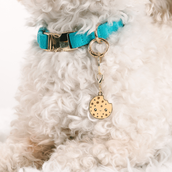 Cookie Pet Charm | Pink Papyrus
