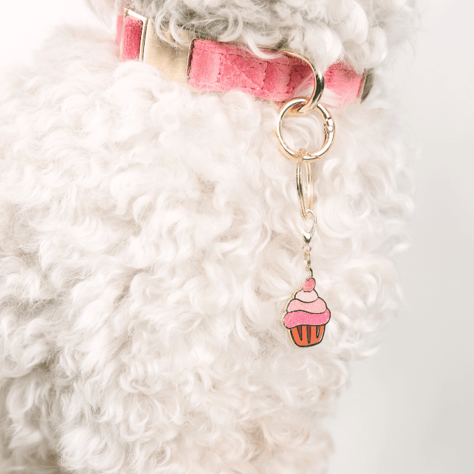 Cupcake Pet Charm | Pink Papyrus