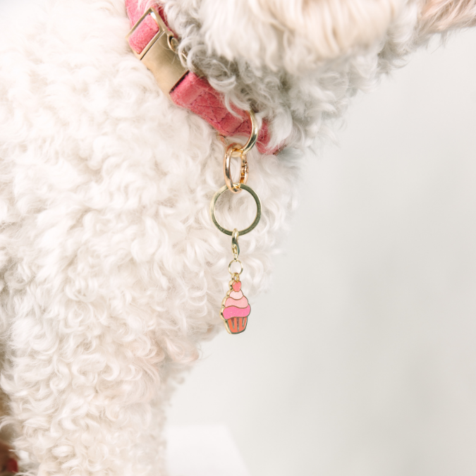 Cupcake Pet Charm