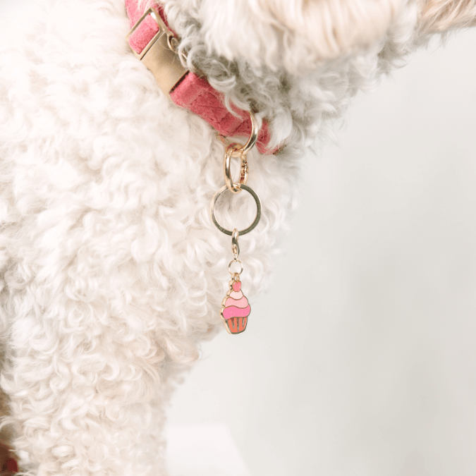 Cupcake Pet Charm | Pink Papyrus