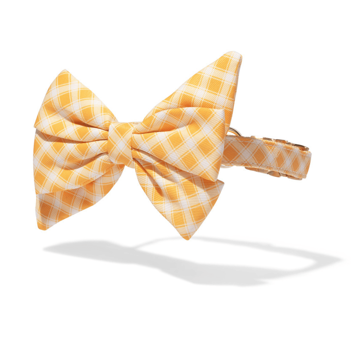 Daisy Babe Bow Dog Collar | Pink Papyrus